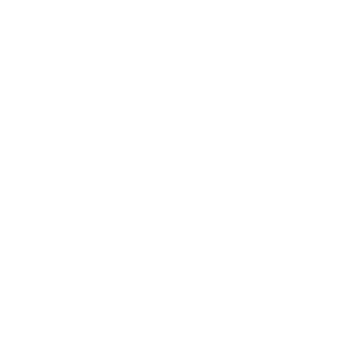 light logo
